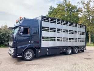 ciężarówka do przewozu bydła Volvo FH 13.520 6x2/4 1/2/3 stock Livestock