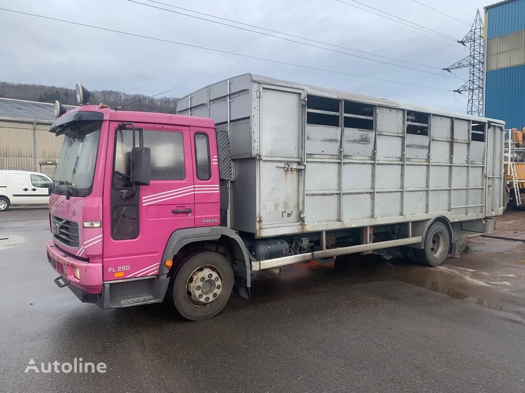 ciężarówka do przewozu koni Volvo FL6-250