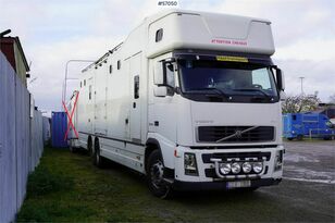 koniowoz Volvo FH 400 6*2 Horse transport with room for 9 horses